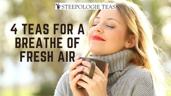 Steeping Wellness: 4 Teas For a Breathe of Fresh Air - Steepologie