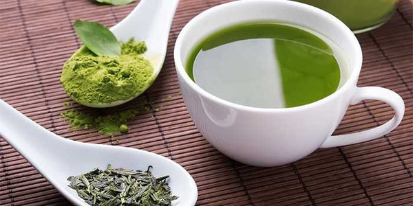 5 Articles on the Health Benefits of Green Tea - Steepologie