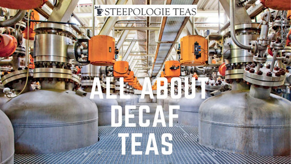 All About Decaf Teas - Steepologie