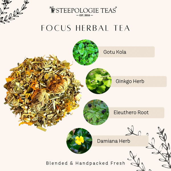 NEW TEA: Focus Herbal Tea - Steepologie