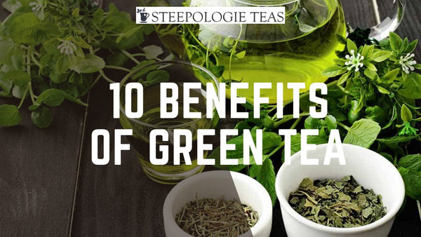 Steeping Wellness: 10 Benefits of Green Tea - Steepologie