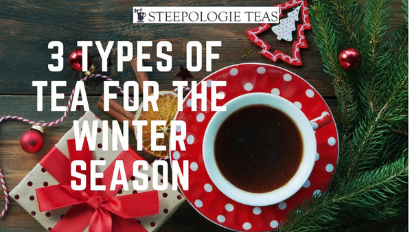 Steeping Wellness: 3 Types of Tea for the Winter Season - Steepologie