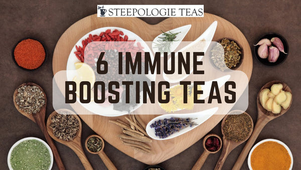 Steeping Wellness: 6 Immune Boosting Teas - Steepologie