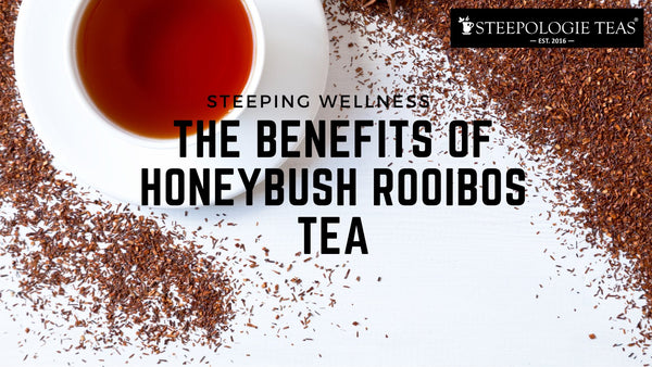 The Benefits of Honeybush Rooibos Tea - Steepologie