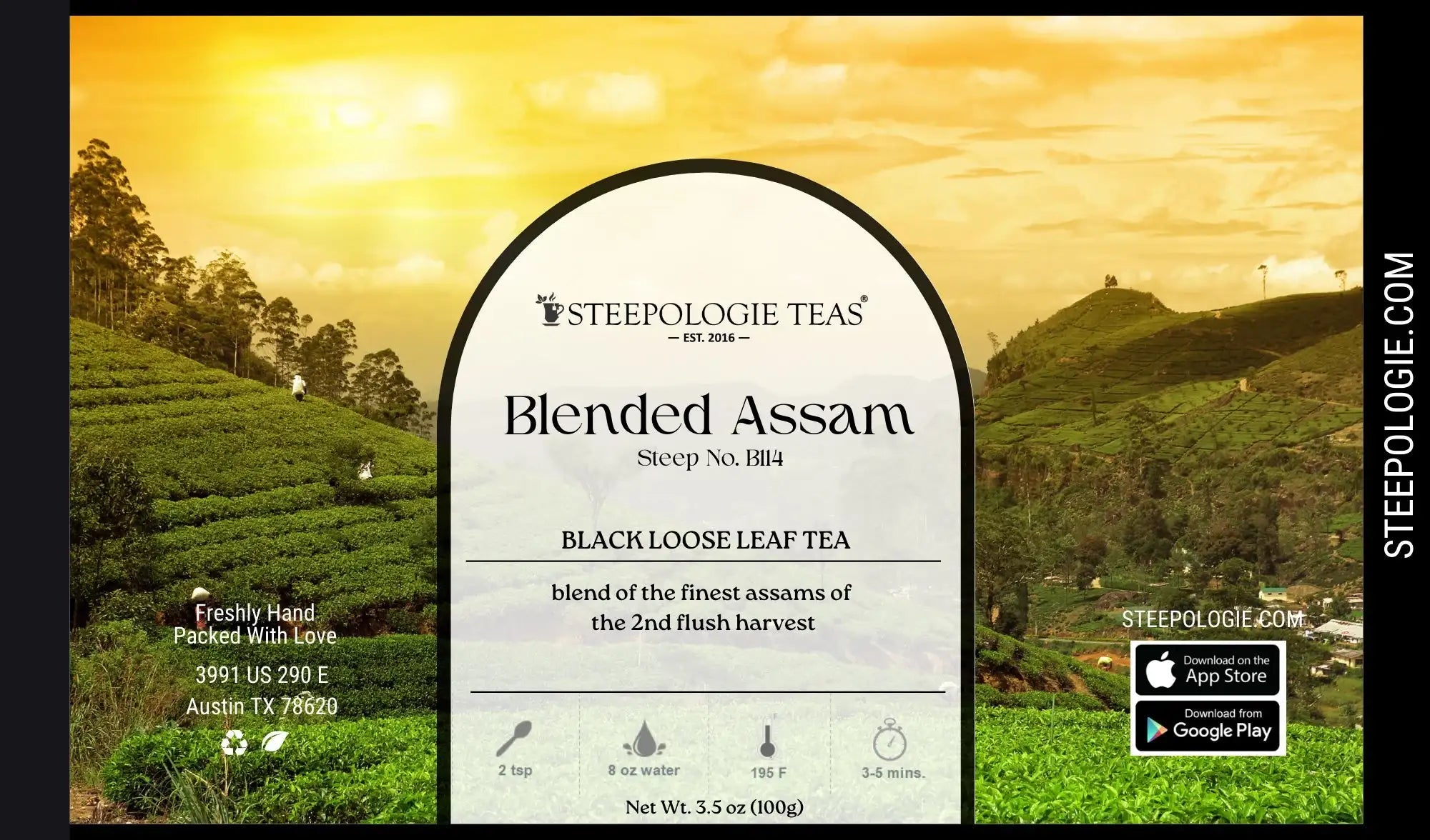 Blended Assam Tea (Steep No. B114) - Steepologie