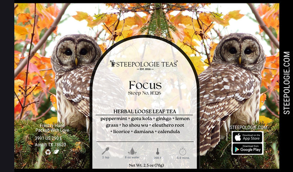 Focus Tea (Steep No. H326) - Steepologie