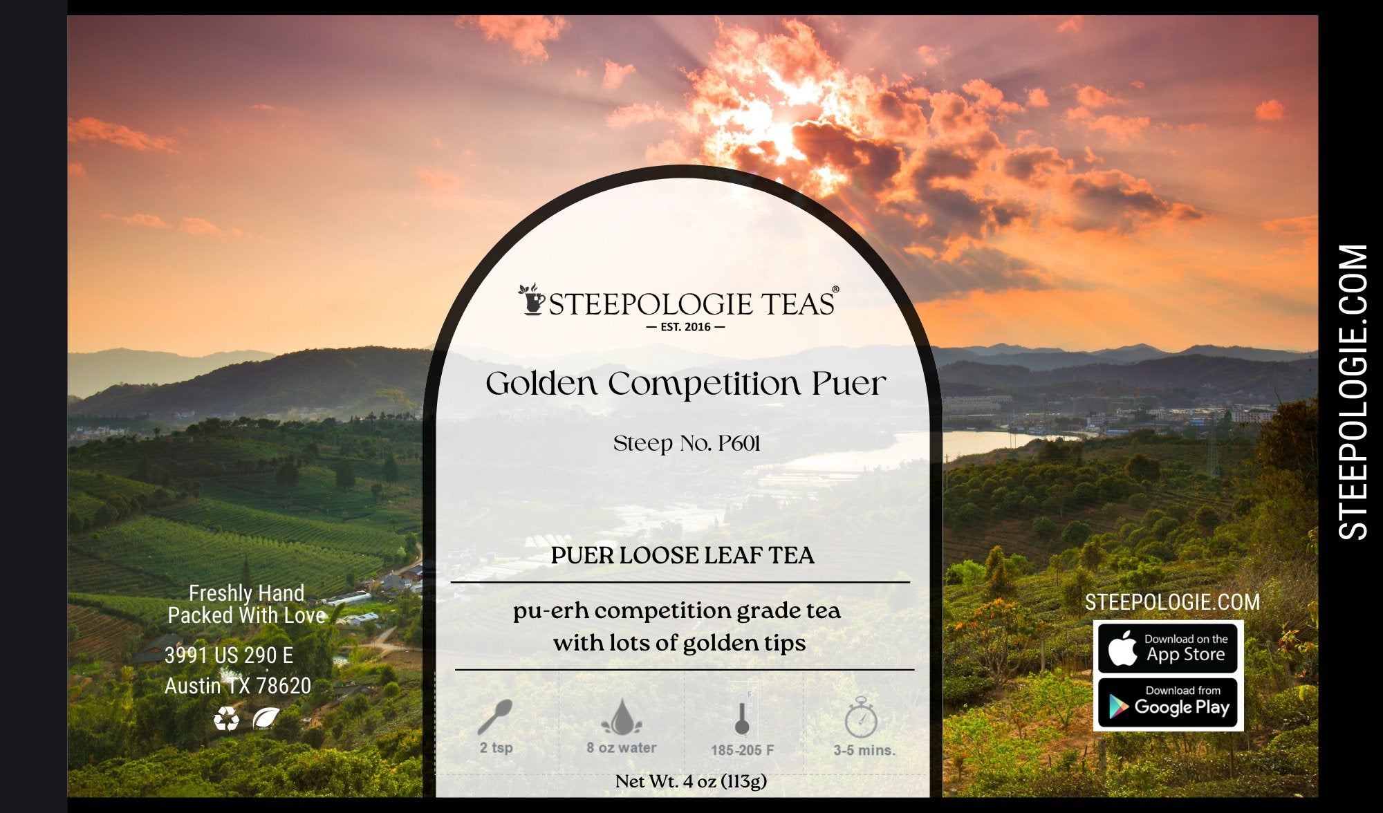 Golden Competition Puer (Steep No. P601) - Steepologie
