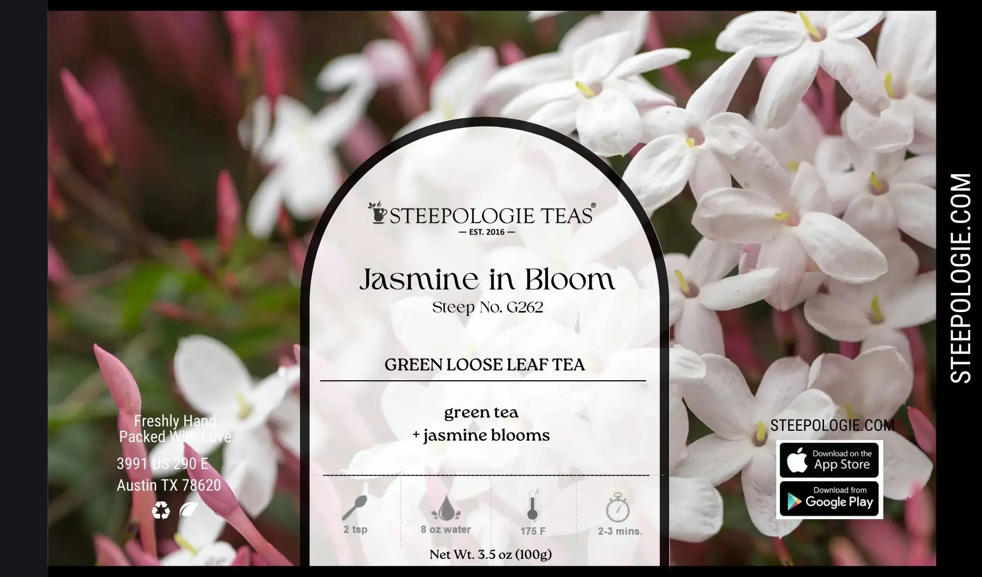 Jasmine In Bloom Tea (Steep No. G262) - Steepologie