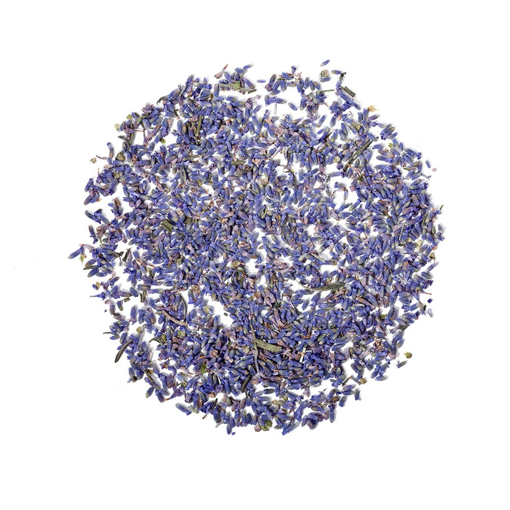 Lavender Flower Tea (Steep No. H319B) - Steepologie