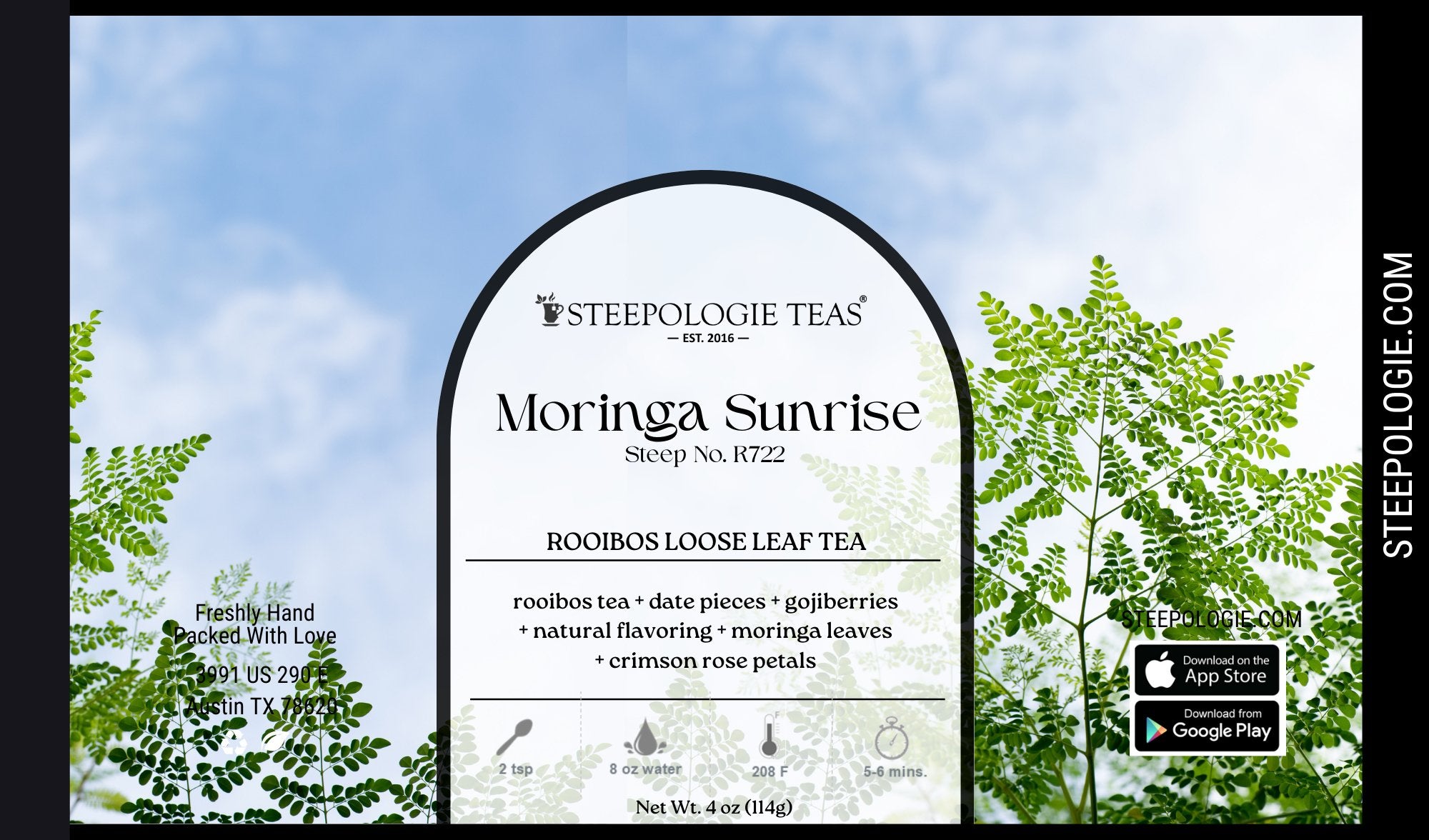 Moringa Sunrise Tea (Steep No. R722) - Steepologie