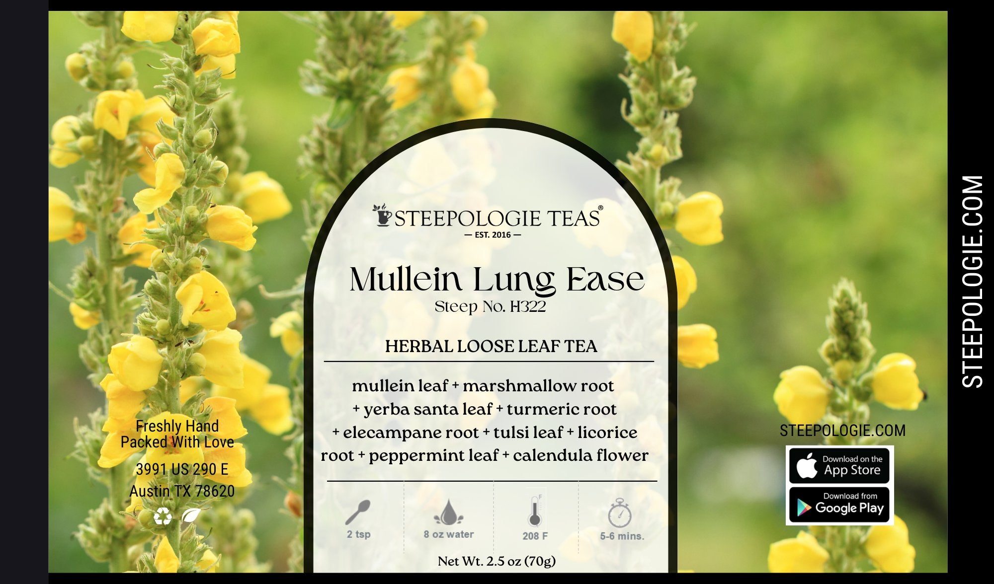 Mullein Lung Ease Tea (Steep No. H322) - Steepologie